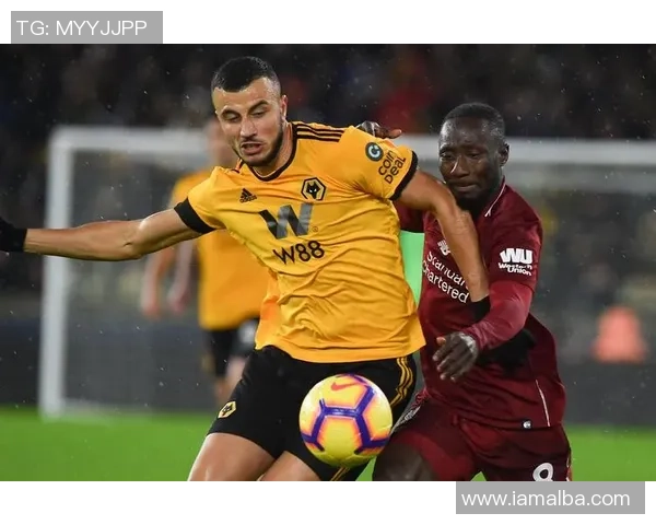 狼队与南安普顿对决前瞻分析及赛果预测，谁将赢得关键三分